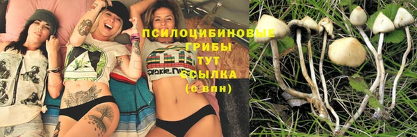 винт Белокуриха